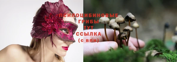 круглые Алексин