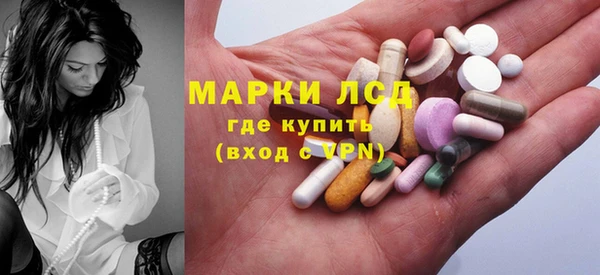 прущие грибы Михайловск