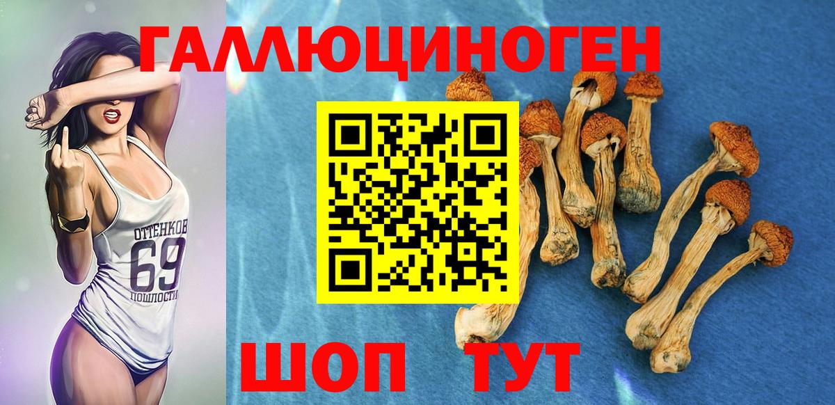 Галлюциногенные грибы GOLDEN TEACHER  Вход с VPN  Нефтекамск 